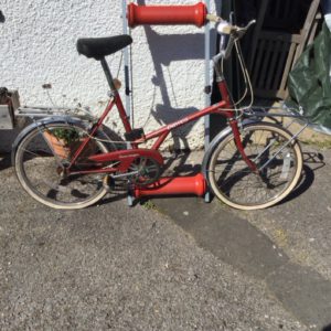 Bike Adult Dawes
