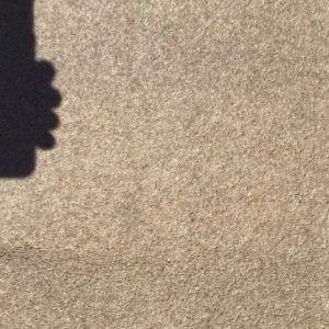 Cream carpet – Brand New