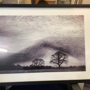 Picture X Large A3+ (297X420mm)