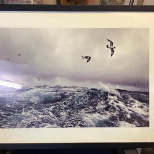 Picture X Large A3+ (297X420mm)