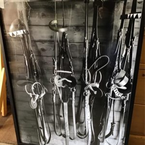Framed Print Horse Bridles