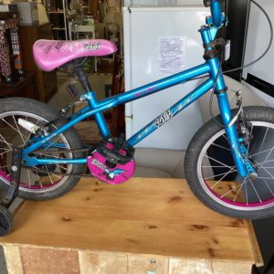 Bike Child