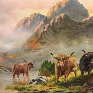 Highland Cows In Scotland Framed