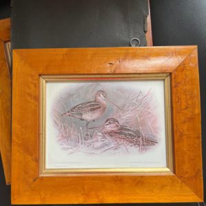 Picture Small
