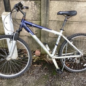 Bike Adult Giant