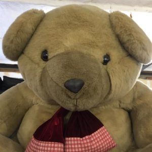 Large Teddy Bear looking for home – . / Large / . / .