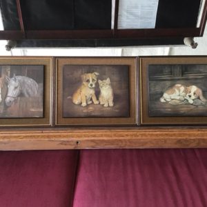 Animal picture Set of 3