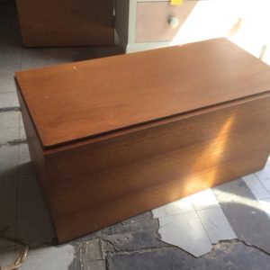 Storage Trunk