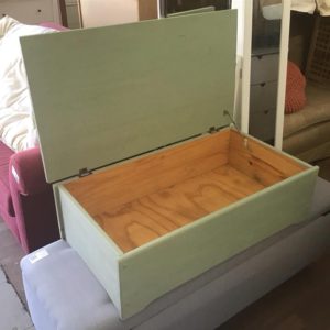Storage Trunk/Box/Ottoman