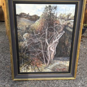 Picture X Large A3+ (297X420mm)